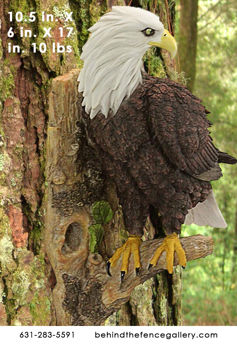 American Bald Eagle - Click Image to Close