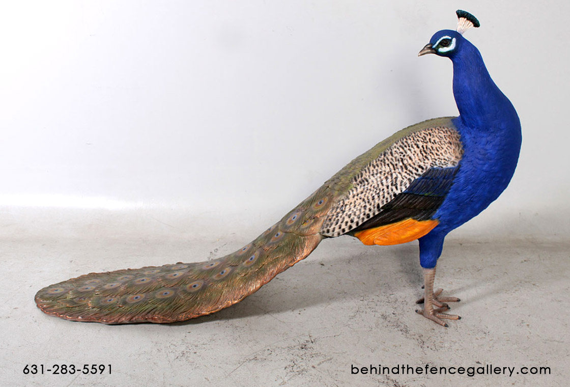 Male Peacock Statue