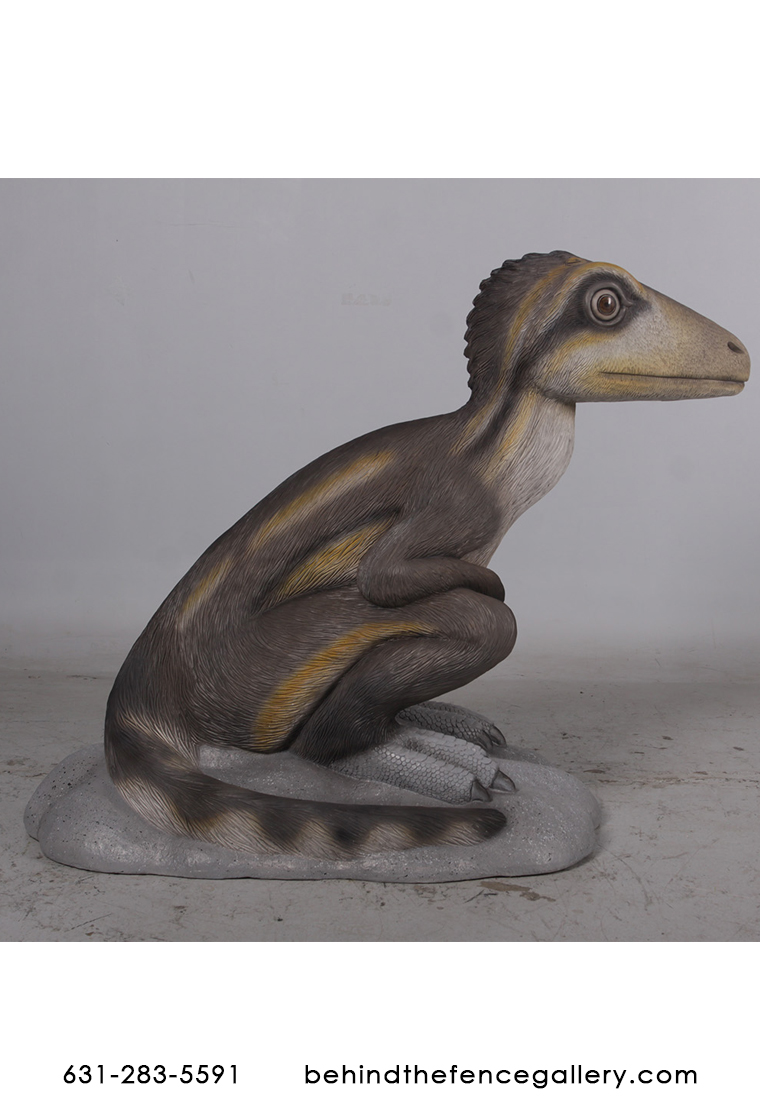 Juvenile Theropod Sitting Dinosaur Statue