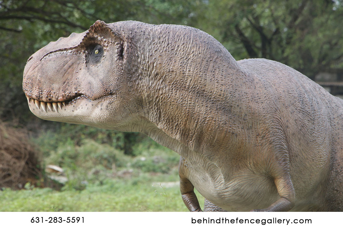 Young Trex Statue Dinosaur Prop