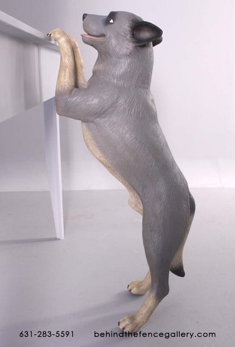 Standing Blue Heeler - Click Image to Close