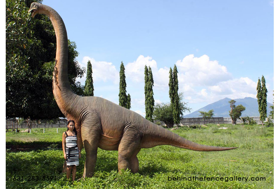 Brachiosaurus 15.5 Ft. Life Size Dinosaur Prop Fiberglass Statue - Click Image to Close