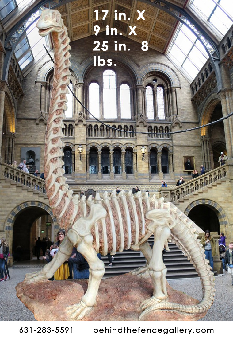 Brachiosaurus Skeleton