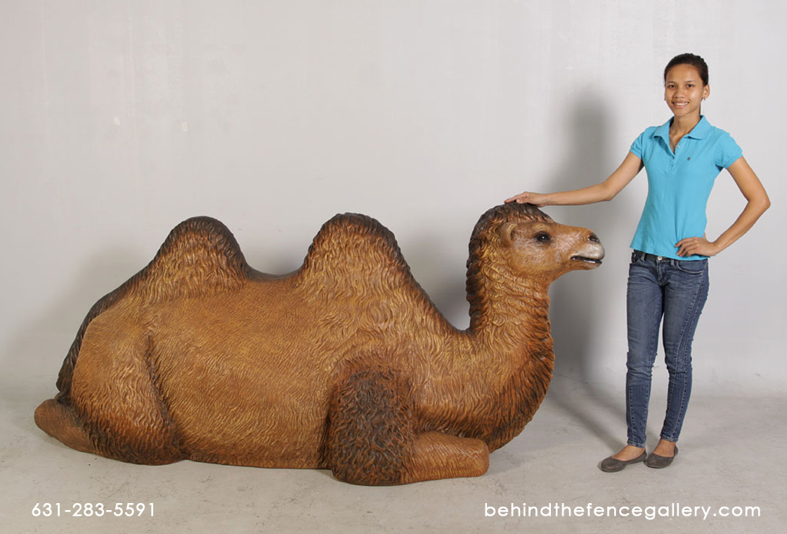 Camel Resting Bactrian Sculpture - Click Image to Close