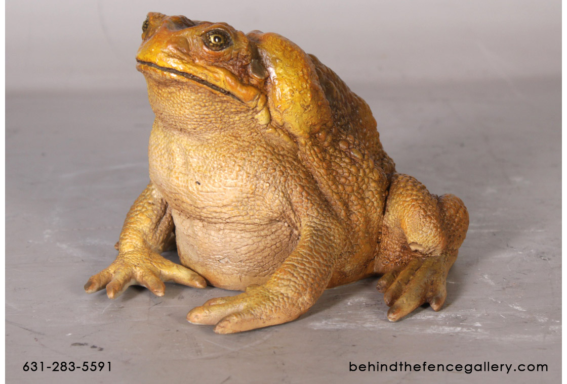 Cane Toad Statue - Click Image to Close