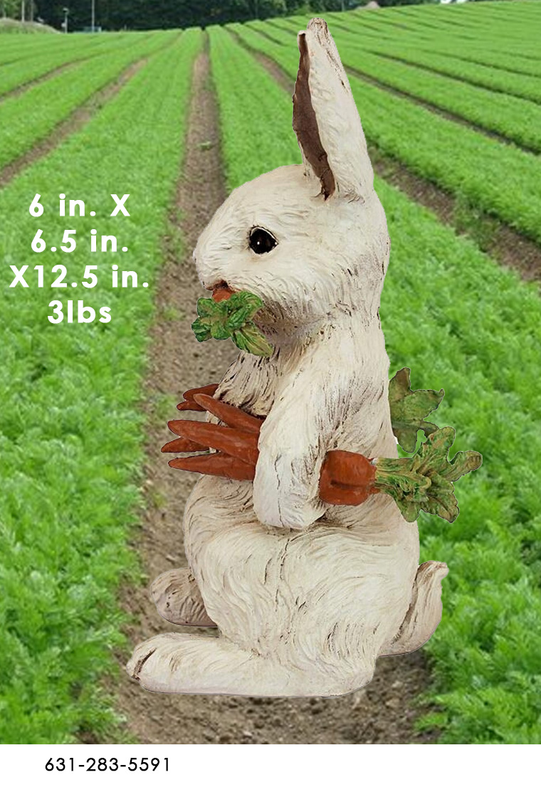 Carrot Crazed Rabbit - Click Image to Close