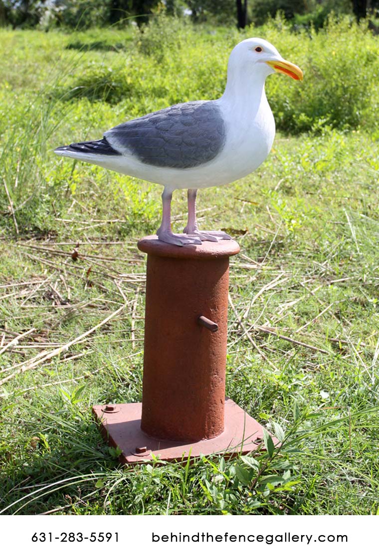 Seagull Statue on Mooring Board - Click Image to Close