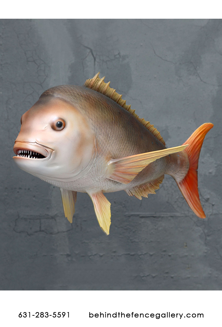 Snapper Fish Wall Hanging - Click Image to Close