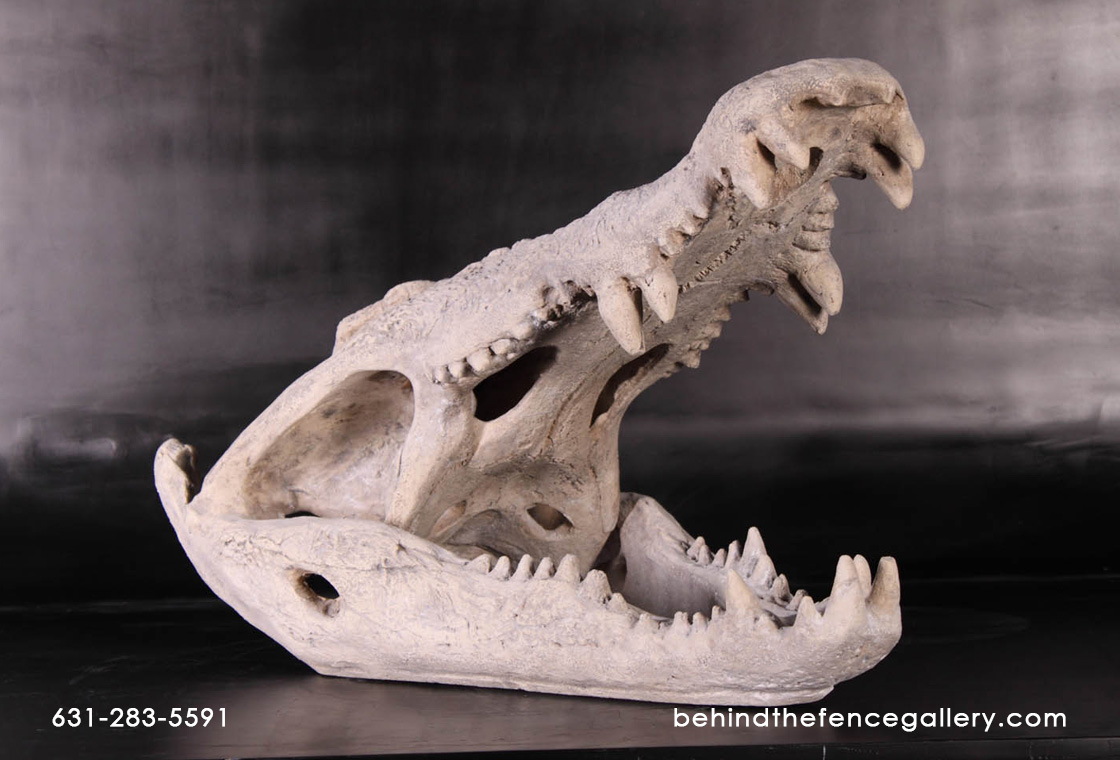 Crocodile Skull Sculpture