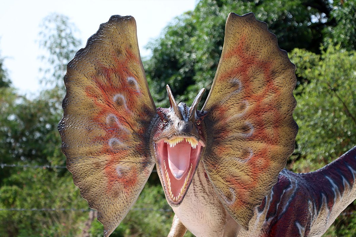 Life Size Dilophosaurus Statue