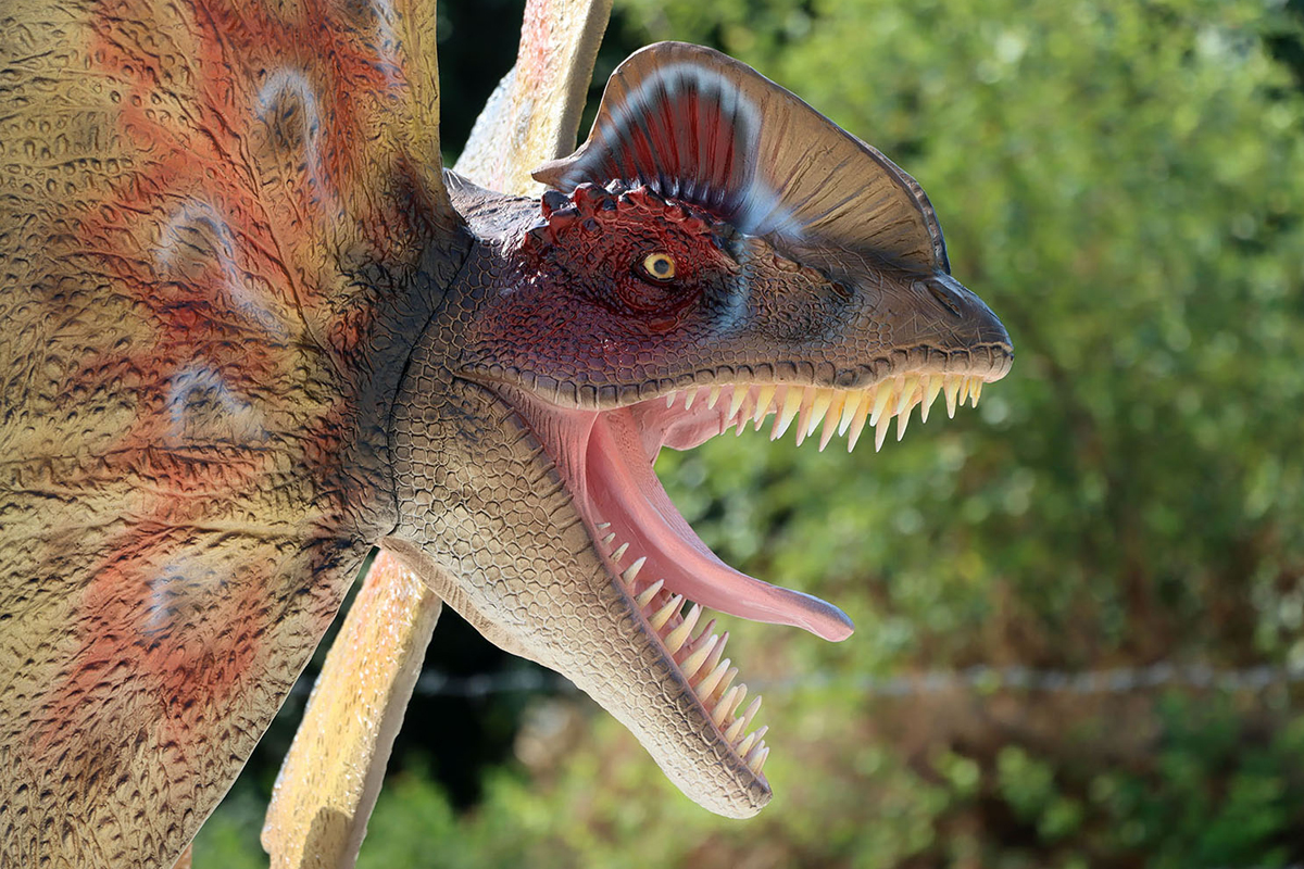 Life Size Dilophosaurus Statue