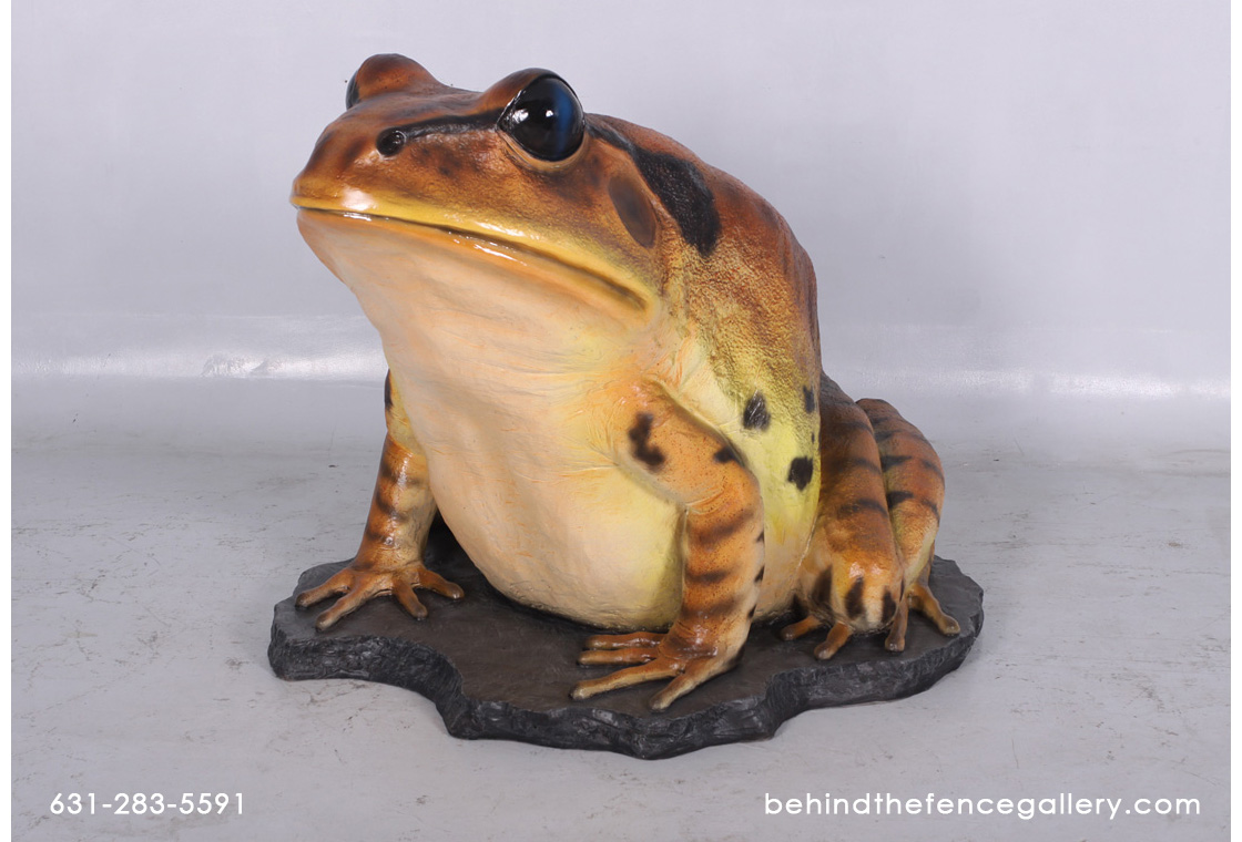 Great Barred Frog Statue