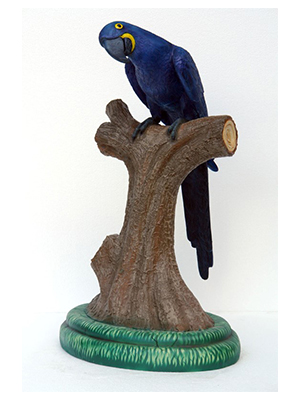 Hyacinth Macaw 3 ft. - Click Image to Close
