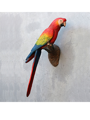 Parrot on Tree Branch - Click Image to Close