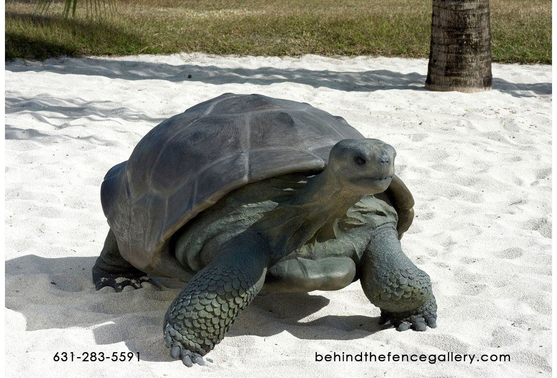 Galapagos Tortoise Statue - Click Image to Close