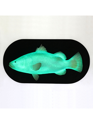 Hanging Fish with LED - Click Image to Close