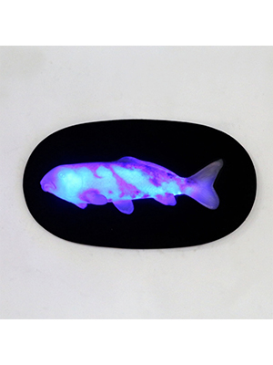 Hanging Koi with LED - Click Image to Close