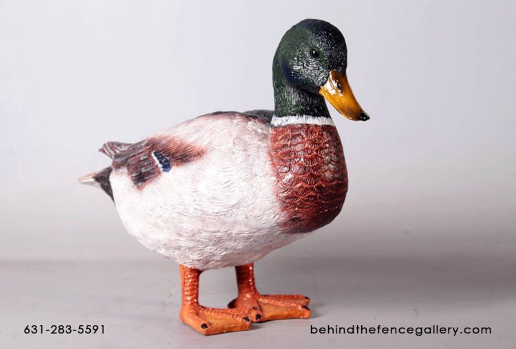 Male Mallard Duck Statue - Click Image to Close