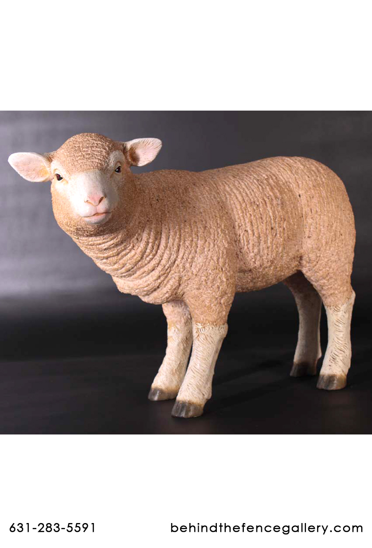 Fiberglass Standing Merino Lamb - Click Image to Close