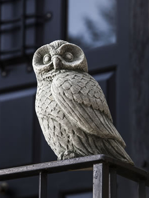 Night Owl - Click Image to Close