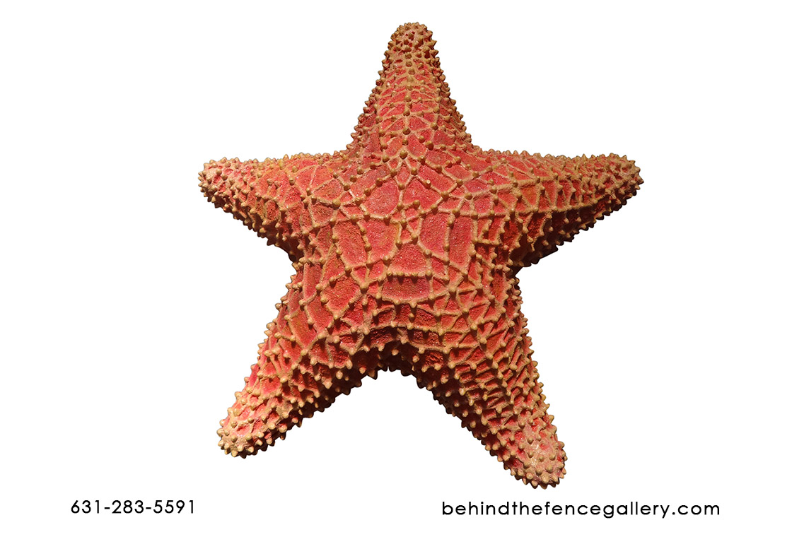 Orange Starfish Statue