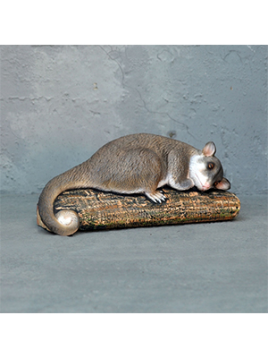 Sleeping Possum - Click Image to Close