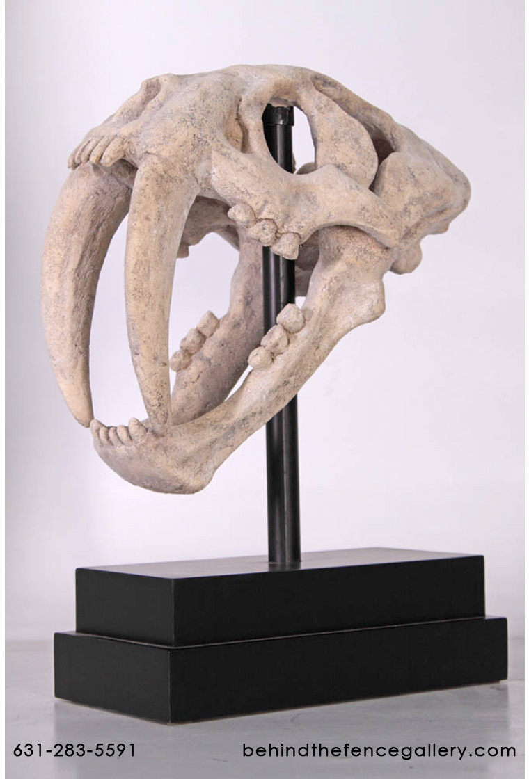 Saber Toothed Tiger Skull on Base - Click Image to Close