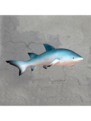Sand Shark - Click Image to Close