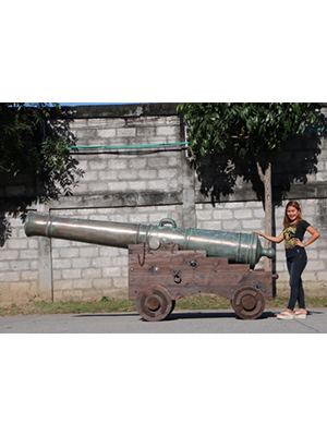 Cannon from Seville - Click Image to Close
