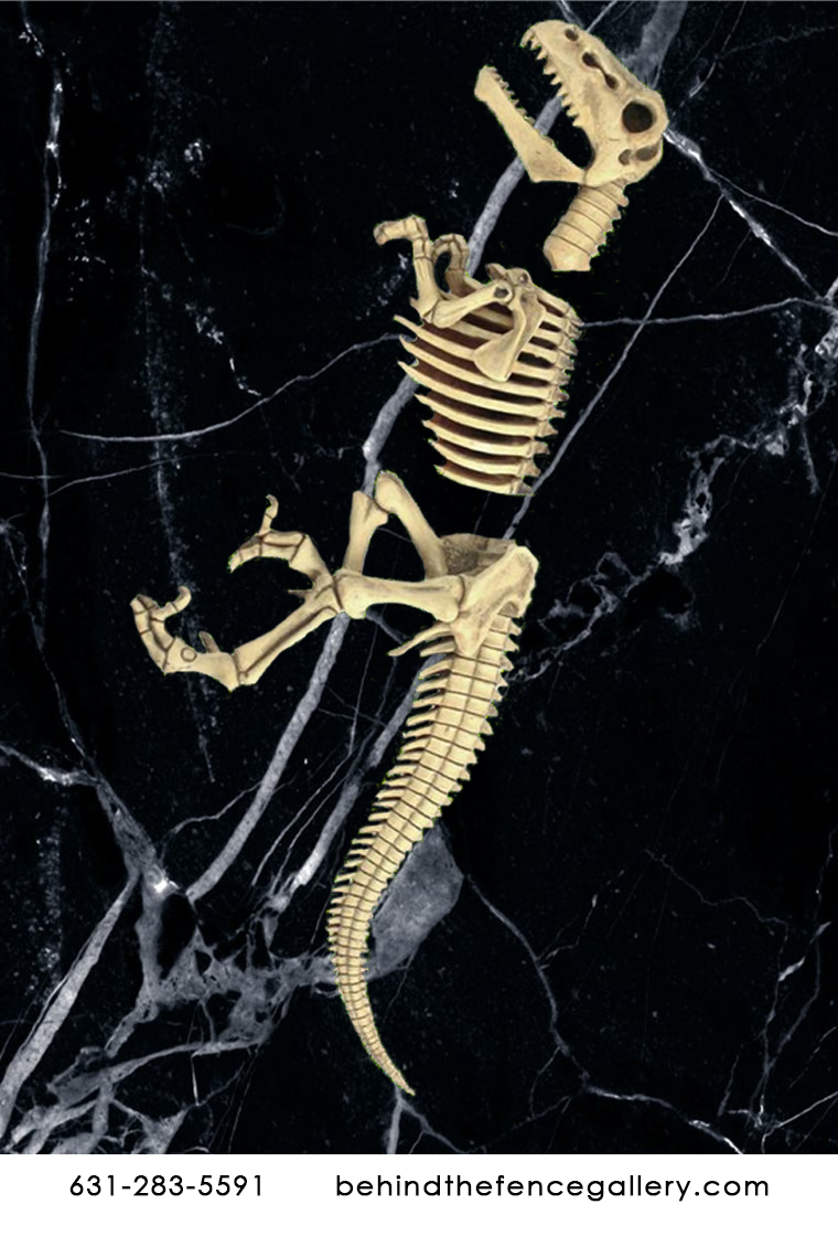 Dig Site Raptor Skeleton