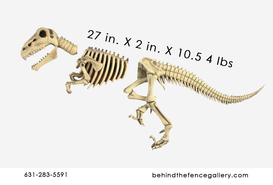 Dig Site Raptor Skeleton