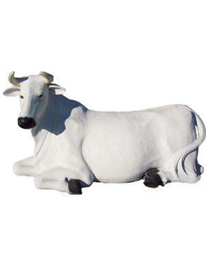 Cow Laying Down - White (with or without Horns)